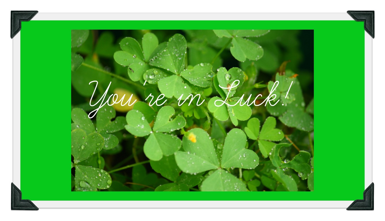 Clover and text, You're in luck!